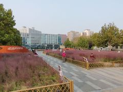 -BHG生活超市(安贞店)