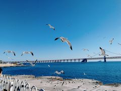 -星海广场
