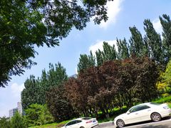 -元大都城垣遗址公园