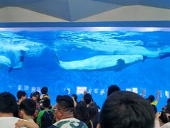 -泉城欧乐堡海洋极地世界