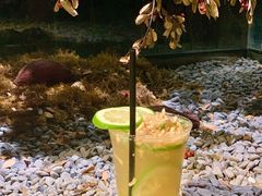 -兮禾酒馆(护国路店)