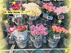 -砂之船奥特莱斯(合肥店)