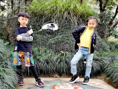 -杭州少年儿童公园