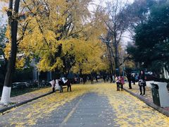 -四川大学华西口腔医院(华西院区)