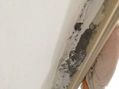 -中沪红马赢装潢设计(宝山店)