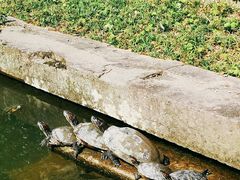 -宁波市保国寺古建筑博物馆