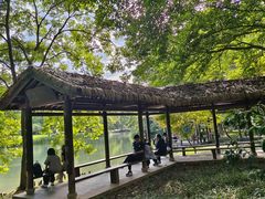 -西湖风景区-江洋畈生态公园