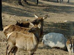 -西安秦岭野生动物园