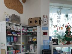 -纳吉亚猫专科动物医院·北北分院