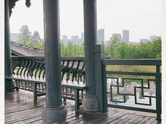 -眉山湿地公园(东坡区)