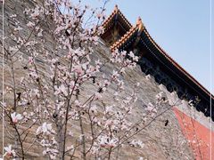 -东华门大街小区