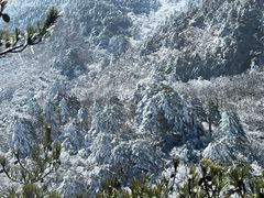 -黄山风景区
