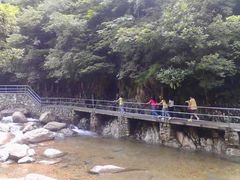 -东天目山风景区