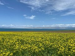 -青海湖国家重点风景名胜区