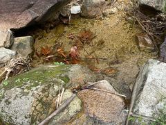 -将军关探险漂流