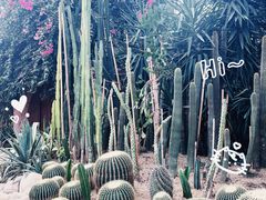 -祥源·阜阳生态乐园