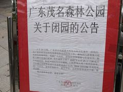 -广东茂名森林公园