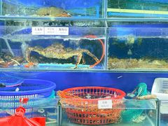 -张树军海鲜(王府壹号店)