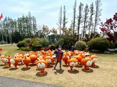 -上海长兴岛郊野公园