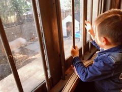 -more than meow吴止猫主题餐厅(承德 中船汇店)