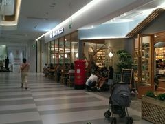 -猫的天空之城概念书店(印象城购物中心店)