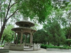 -玲珑塔公园