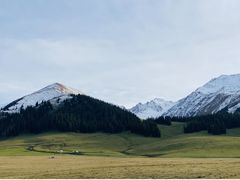 -新疆那拉提国家旅游度假区