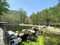 -白水寺森林公园