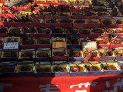 -中环花鸟鱼虫市场