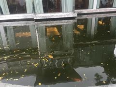 -鼓浪屿钢琴博物馆