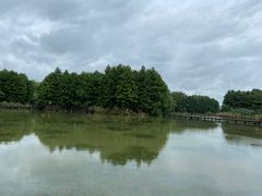 -苏州太湖国家湿地公园
