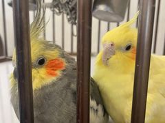 -义乌之心城市生活广场