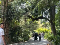 -墨尔本皇家植物园