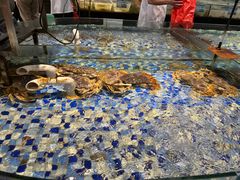 -森谷美食公园(杨行店)