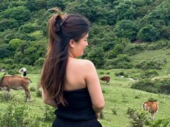 -大姆山草场