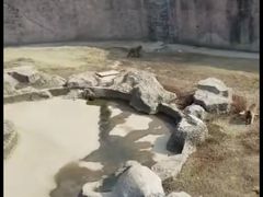 -南昌动物园