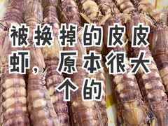 -大湾区中央湿地公园