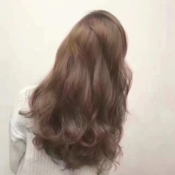 -T8 SALON