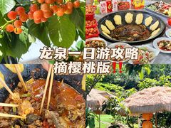 -桃源山庄·水蜜桃采摘·柴火鸡·烧烤团建(龙泉山店)