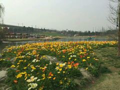 -秀丽东方