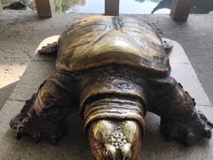 -阿姨卷饼(平凉路店)