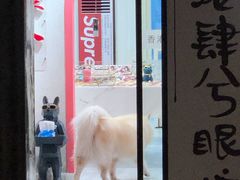 -肆兮眼镜·蔡司·徕卡战略合作店(大坪店)