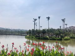 -枫香湖儿童公园