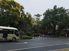 -广州长隆国际大马戏