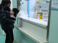 -北京观赏动物医院·24小时大型综合·猫专科·异宠专科