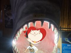 -南昌海洋公园