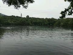 -紫霞湖公园