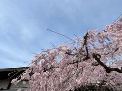 -奈良公园