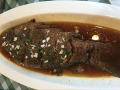 黄河大鲤鱼-晋府大酒店