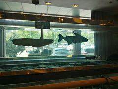 -大东方海鲜酒楼(小武基桥店)